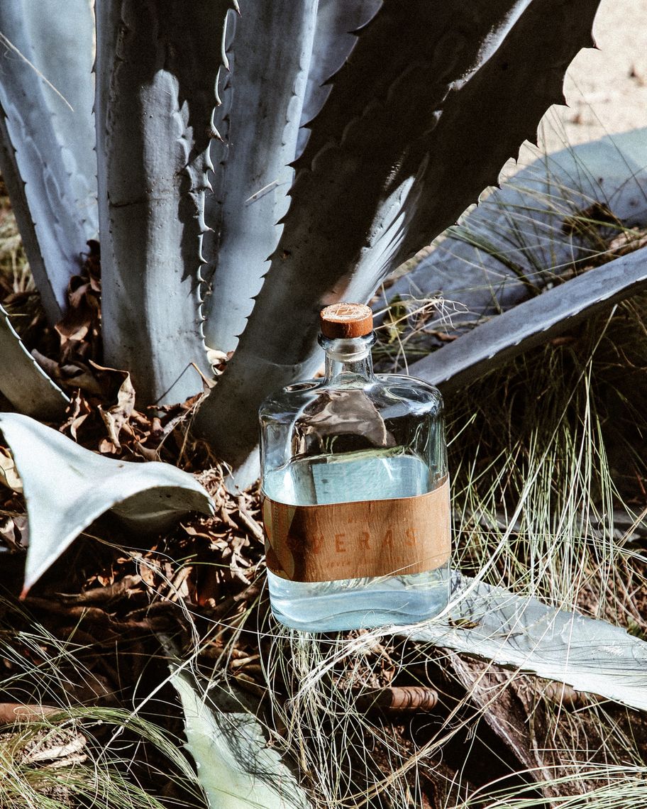 Truffl-mezcal veras-branding-photography