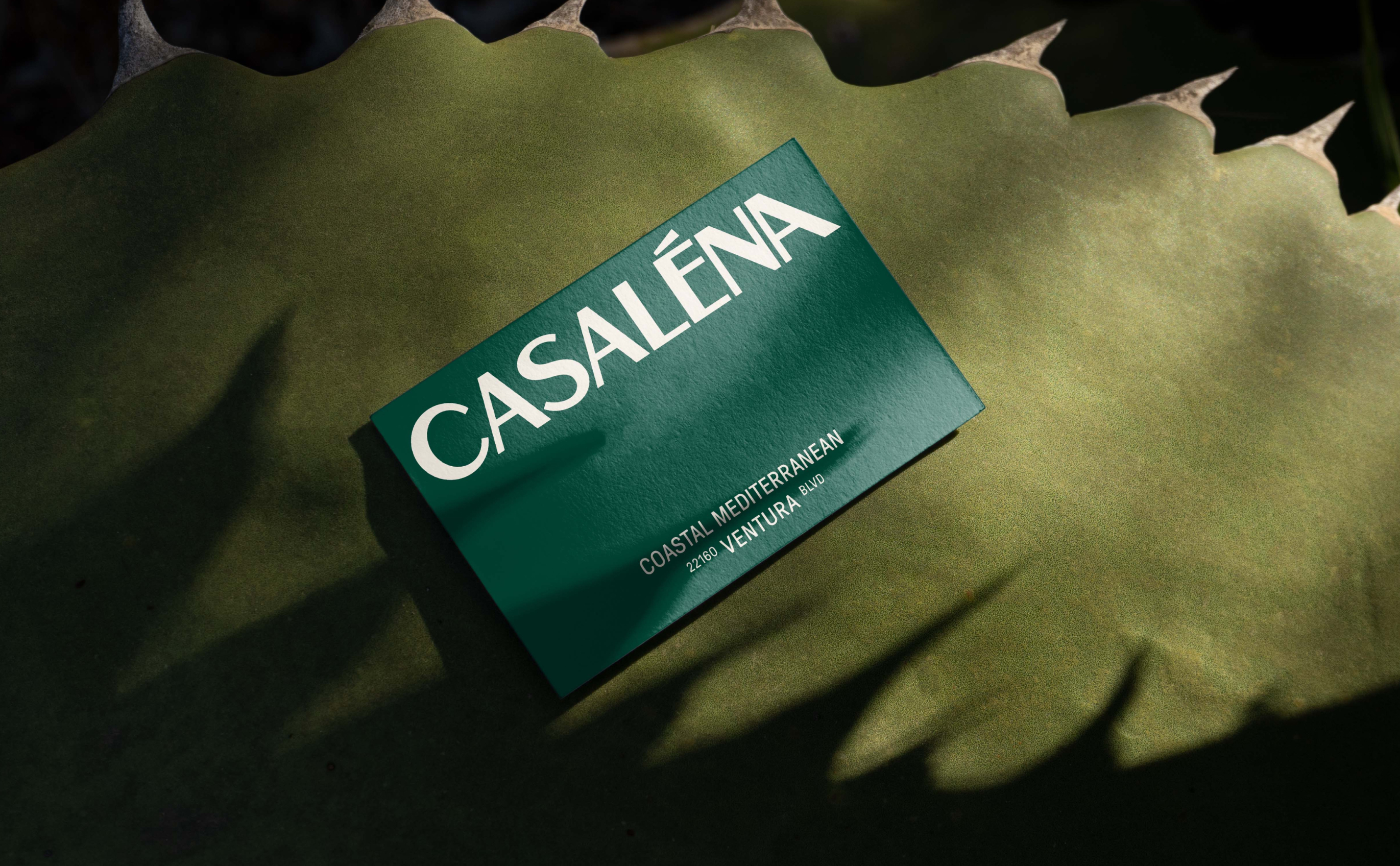 casalena 4